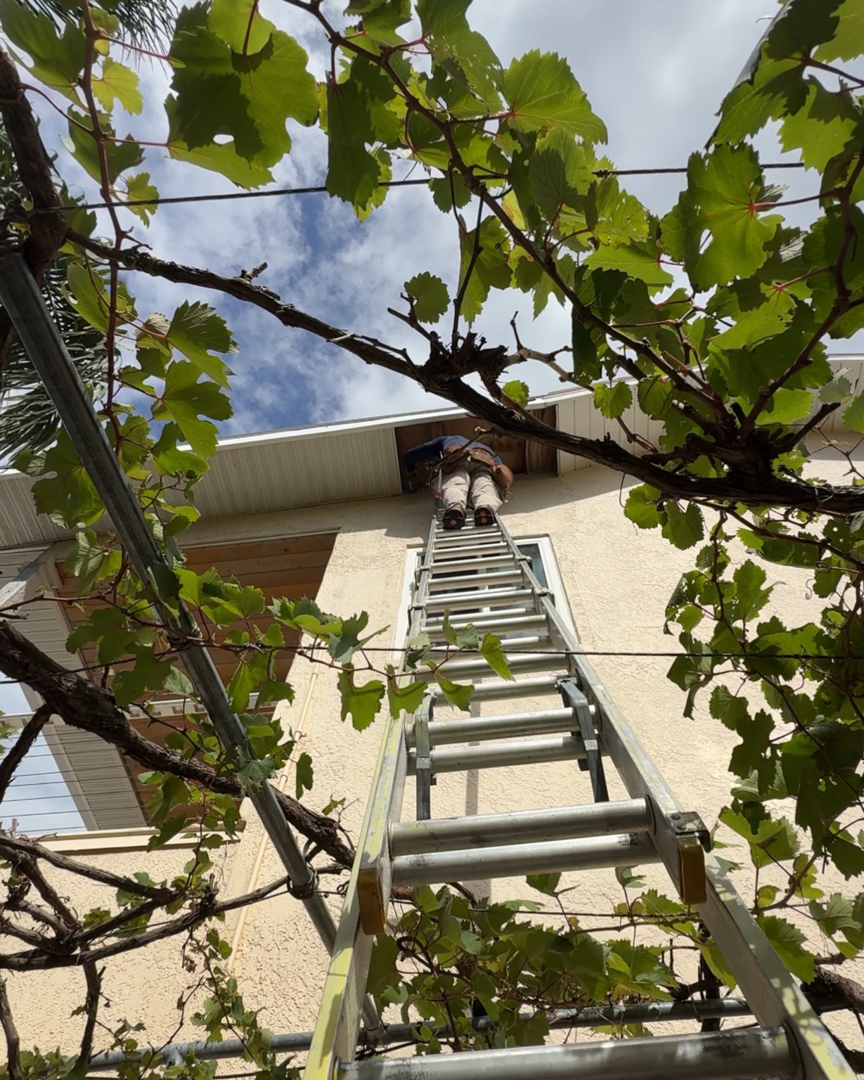 Ladder work at the roof eave during soffit and fascia repair